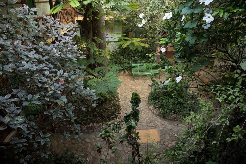 Hostal Dona Chava Pedernales Εξωτερικό φωτογραφία